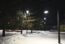 Парк у Пруда г. Благовещенск ул.Советская